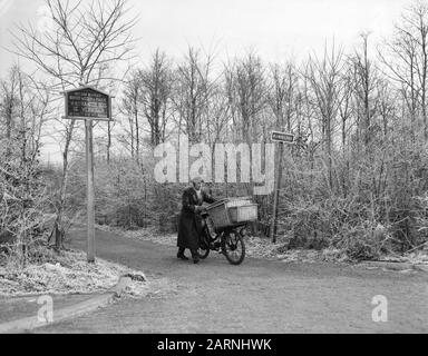 First frost in our country Haagse Bosch Date 13 December 1955