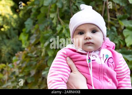 portrait of a cute 2-month-old baby girl outdoor with a green tree in the background. Stock Photo