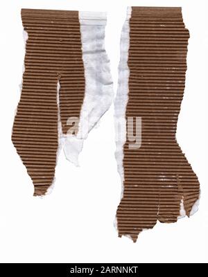Two pieces of brown corrugated cardboard with torn edges showing the white paper underneath. This is a high resolution scan showing the detail. Stock Photo