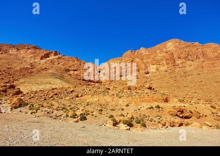 Todgha Gorge or Gorges du Toudra is a canyon in High Atlas Mountains near the town of Tinerhir, Morocco Stock Photo