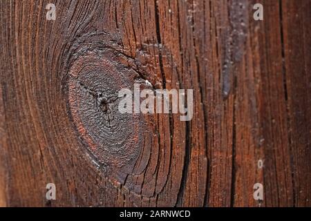 nice large image of polished wood texture Stock Photo