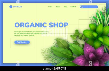 Web banner with realistic fresh herbs on white and blue background. Popular culinary plants, red and green basil, rosemary, parsley. Illustration for Stock Vector