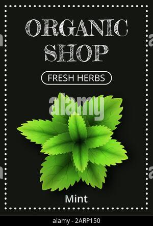 Vertical banner with a realistic mint on coated chalk background. Fresh herbs, popular culinary plants, natural health care. Template for products, we Stock Vector