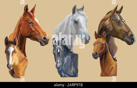 Set of colorful vector realistic portraits of mares and foals looking in profile. Group of horses isolated on beige background. Vector colorful portra Stock Vector