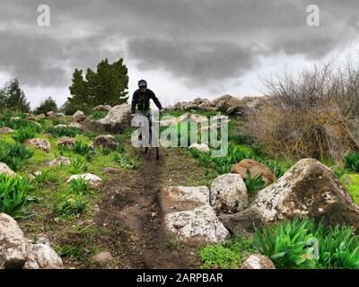 MTB cyclist riding a trail in the rain. Israeli single track cycling trail. Stock Photo