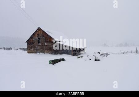 An old log barn on a snowy day, on a remote farm in Beavertail, Montana. Beavertail is located east of Clinton, in Granite County, Montana. Stock Photo