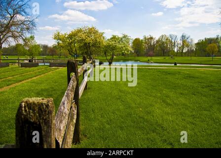 Wooden Fence in Grassy Park Stock Photo
