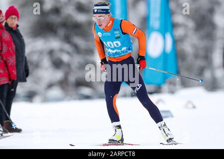 SANKT ULRICH AM PILLERSEE , 29-01-2020 , Einar Visser during the NK nordic ski freestyle 2020. Stock Photo