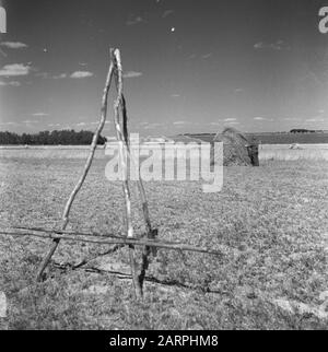 Dutch farmers are going to set up a business in France  World War II, Agriculture Date: August 1945 Location: France Keywords: Agriculture, World War II Stock Photo