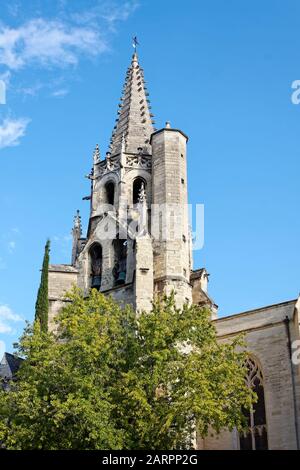 St. Pierre Basilica, Catholic church, 1385, old religious building, ornate spire, bell tower, close-up, stone, Provence, Avignon, France, summer, vert Stock Photo