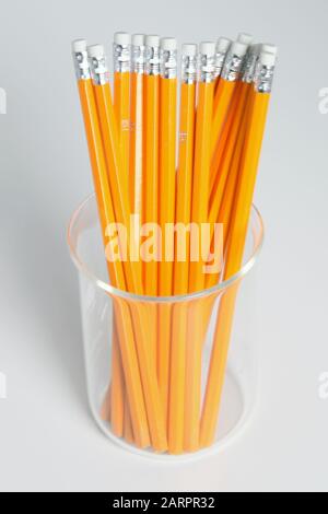 A pot of yellow pencils, HB, unsharpened, with eraser on tip Stock Photo