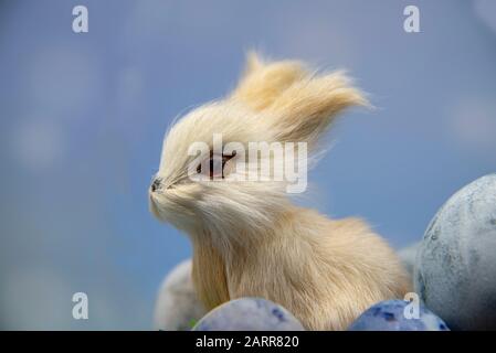 A toy hare and parts of colored eggs on a blue blurred background. Stock Photo