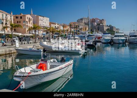 Boats at marina in Calvi, Balagne region, Haute-Corse, Corsica, France Stock Photo
