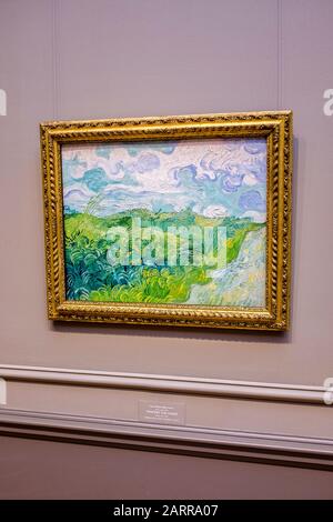 A framed oil on canvas, Green Wheat Fields by Vincent Van Gogh, hanging at the National Gallery of Art in Washington D.C. Stock Photo