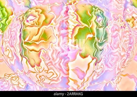 Close-up of a pastel colored floral pattern window curtain become distorted and blurred by imaging technique Stock Photo
