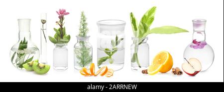 Laboratory glassware with plants and fruits on white background Stock Photo