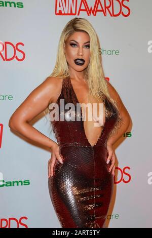 Bridgette B attends the 2020 Adult Video News AVN Awards at The Joint