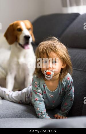 Cute 2 year old Baby girl on a bed on her belly with head up looking into camera with her big eyes. Stock Photo