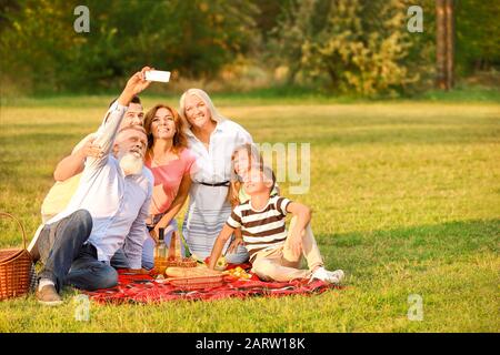 Big family taking selfie at picnic in park Stock Photo