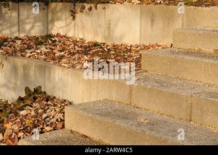 staircase in a garden with fallen dry leaves lying on steps Stock Photo