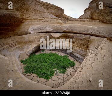 A dried out waterfall in the Canyon de los Perdidas (Lost Canyon). Nazca Desert, Ica, Peru Stock Photo