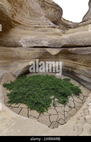 A dried out waterfall in the Canyon de los Perdidas (Lost Canyon). Nazca Desert, Ica, Peru Stock Photo