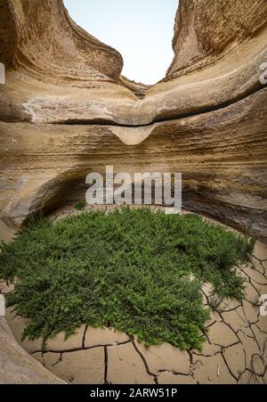 A dried out waterfall in the Canyon de los Perdidas (Lost Canyon). Nazca Desert, Ica, Peru Stock Photo