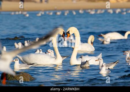 Beach Against Sky Stock - Alamy