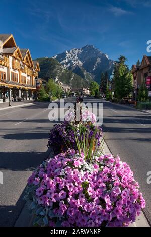 Banff Avenue backed by Cascade Mountain, Banff, Canadian Rockies, Alberta, Canada Stock Photo