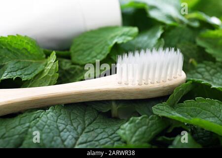 Wooden toothbrush on mint leaves Stock Photo