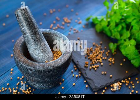 cilantro coriander seeds and leaves with granite mortar Stock Photo