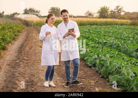 Agricultural engineers working in field Stock Photo