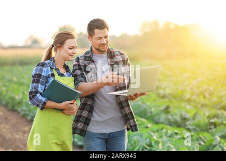 Agricultural engineers working in field Stock Photo