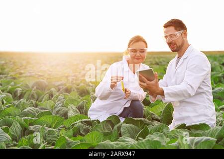 Agricultural engineers working in field Stock Photo