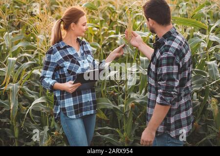 Agricultural engineers working in field Stock Photo