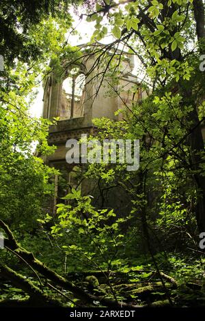 Crawfored Priory turret through summer woodland foliage - an abandoed 18th century mansion reclaimed by nature Stock Photo