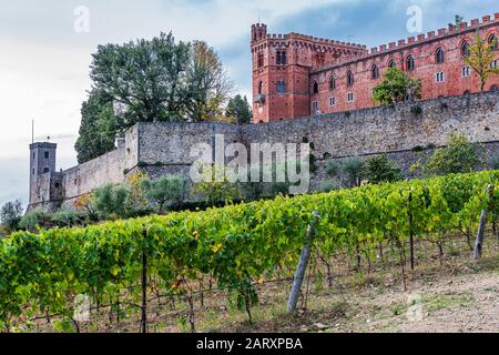 Brolio castle near Gaiole in Chianti on a hill between the vineyards Stock Photo