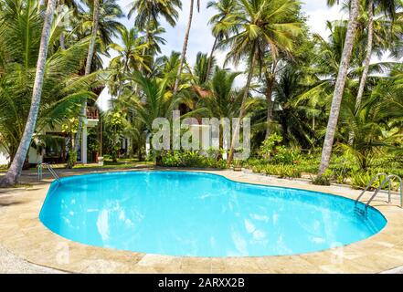Tangalle, Sri Lanka - November 4, 2017: Swimming pool and houses in tropical hotel. Idyllic sunny place among palm trees. Picturesque hotel to relax i