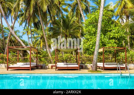 Swimming pool and beach beds in a tropical hotel, Sri Lanka