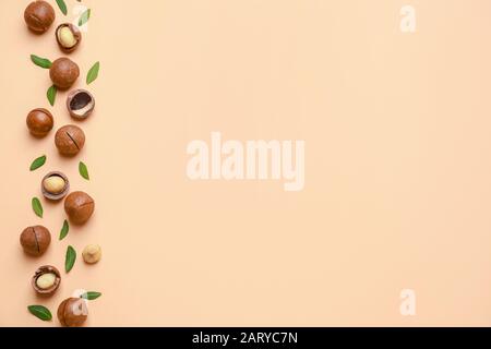 Tasty macadamia nuts on color background Stock Photo