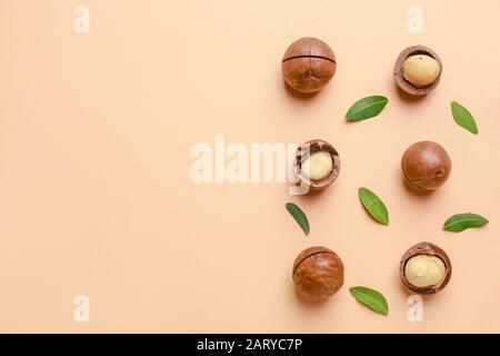 Tasty macadamia nuts on color background Stock Photo