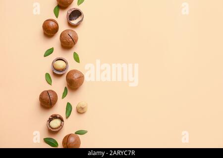 Tasty macadamia nuts on color background Stock Photo