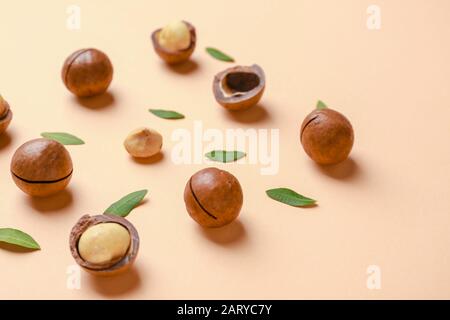 Tasty macadamia nuts on color background Stock Photo