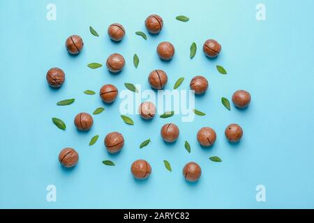 Tasty macadamia nuts on color background Stock Photo