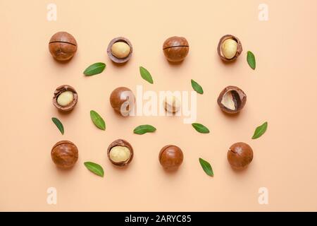 Tasty macadamia nuts on color background Stock Photo
