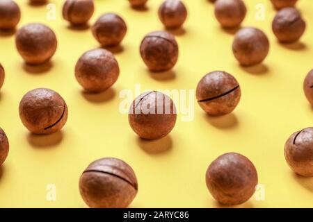 Tasty macadamia nuts on color background Stock Photo