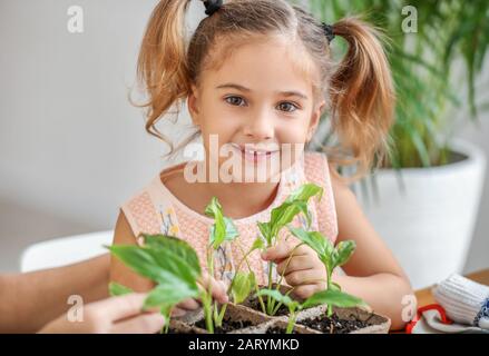 Cute little girl with grandmother setting out young plants in pots at ...