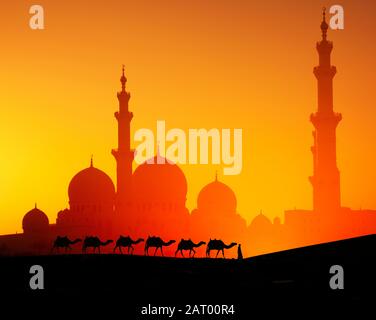 Man with camels in front of Sheikh Zayed Mosque at sunset in Abu Dhabi, United Arab Emirates Stock Photo