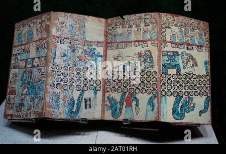 Reproduction of Madrid Codex (Maya Codex), Anthropology Museum, Mexico City, Mexico Stock Photo