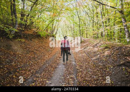 Man hiking in forest Stock Photo